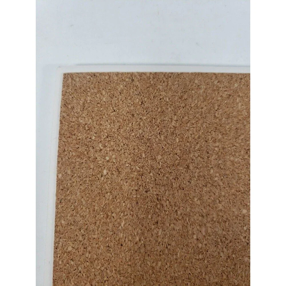 Zion National Park Absorbent Stone Coaster SJT Enterprises Cork Backed Utah